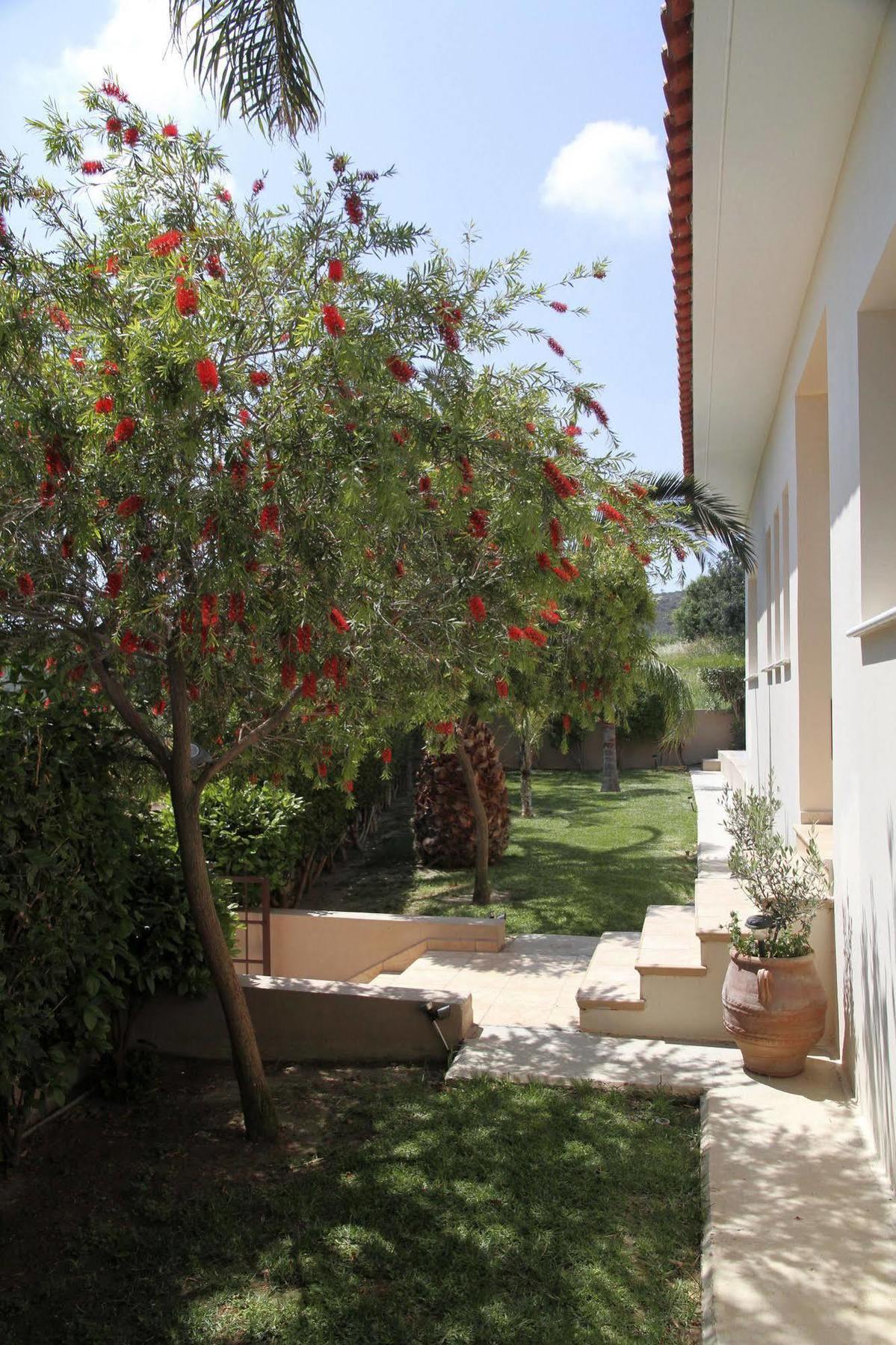 Eve Pissouri Xιnisteri Villa ภายนอก รูปภาพ
